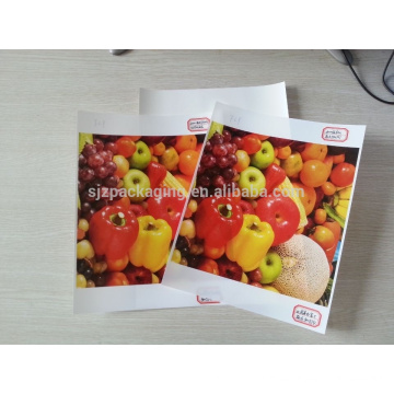 Selbstklebendes PP-Papier für Eco Solvent Printing, PP Synthetic Paper